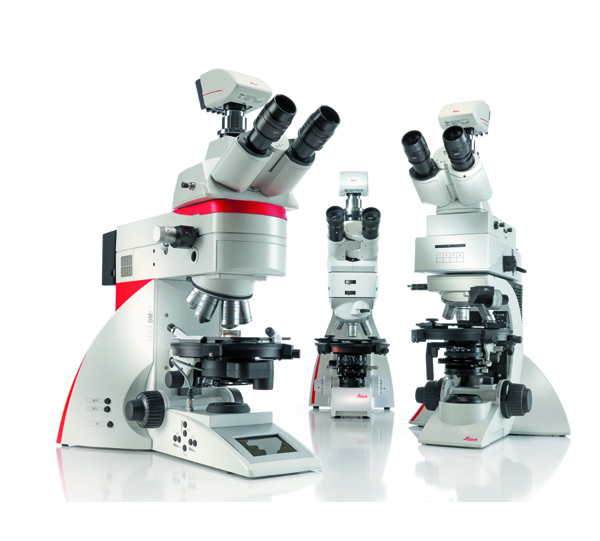 Microscope for University Advanced Life Science Courses