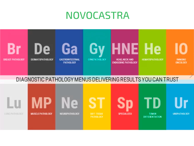 Антитіла  Novocastra™ для імуногістохімії