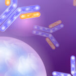 Панель антител для диагностики микросателлитной нестабильности