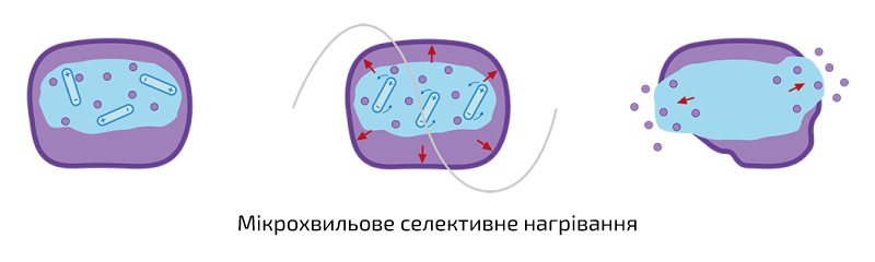 Системи мікрохвильової екстракції