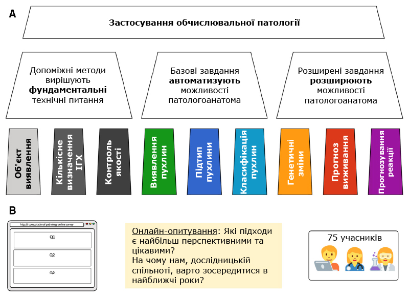 Застосування обчислювальної патології