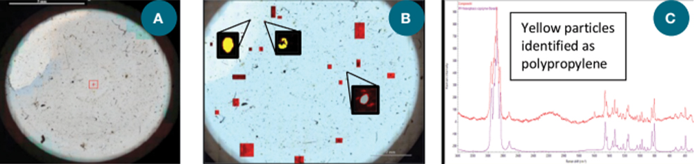 Рисунок 10: Приклад аналізу мікропластику за допомогою раманівського мікроскопа DXR3xi. (А) Відеозображення глиноземного фільтра з мікропластиковими частинками; (B) Хімічне зображення фільтра з мікропластиковими частинками; і (C) Спектр однієї з жовтих частинок порівняно зі спектром поліпропілену з бібліотеки.