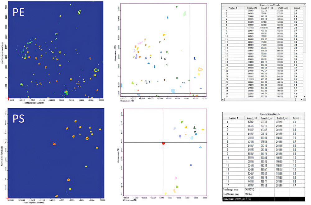 Малюнок 8. Хімічні зображення фільтра (ліворуч), отримані за допомогою Nicolet iN10 MX FTIR Imaging Microscope, на яких ідентифіковано поліетилен (PE) та полістирол (PS), а також статистику розмірів частинок.
