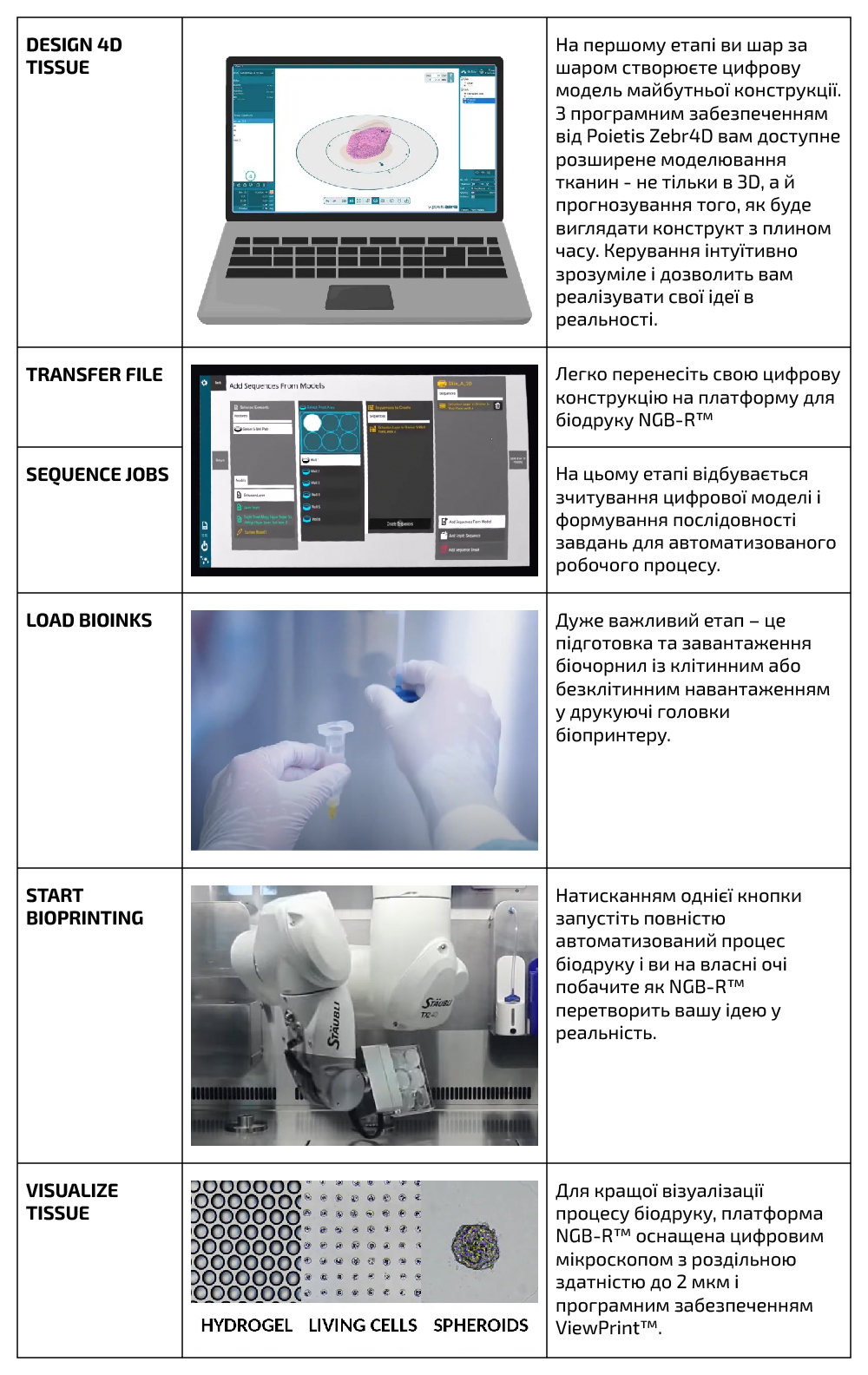 6-етапний процес біодруку з NGB-R™ 